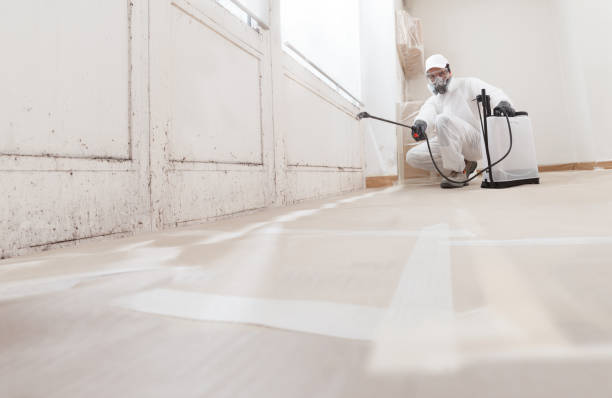 24/7 Emergency Attic Mold Removal experts in Burnham, IL