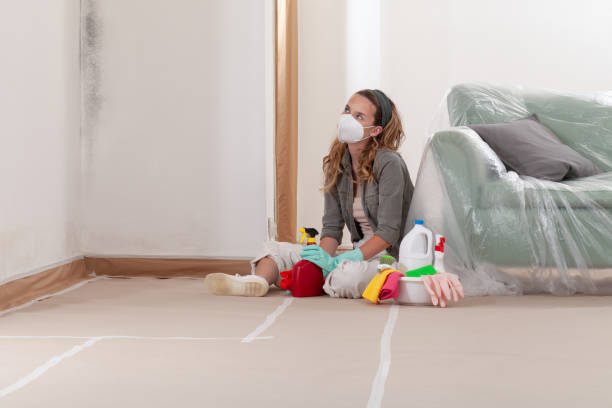 Reliable Attic Mold Removal contractor in Burnham, IL by WQB Mold Removal